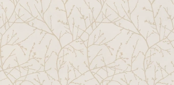 Обои Alessandro Allori Argiano