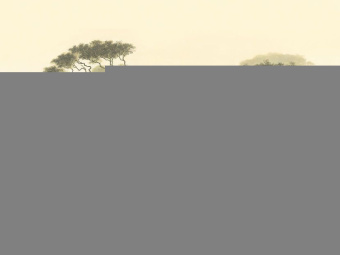 Фрески/Панно ORTOGRAF