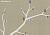 Обои Fromental Conversational