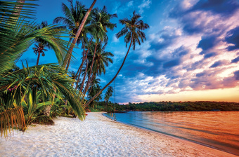 Фрески/Панно ORTOGRAF