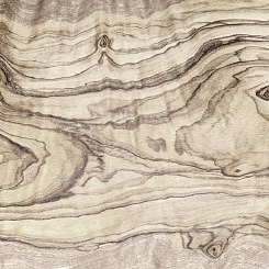 Фотообои Wall Street BERYOZI I VODOPADY