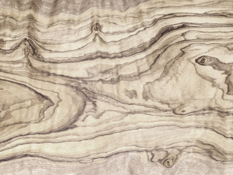 Фотообои Wall Street BERYOZI I VODOPADY