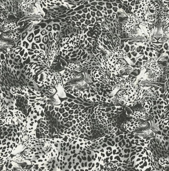 Обои Dolce&Gabbana Dolce&Gabbana №1 