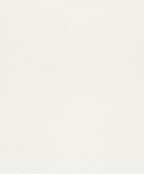 Обои Rasch Wallton Makulaturvlies