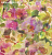 Обои Designers Guild Zardozi