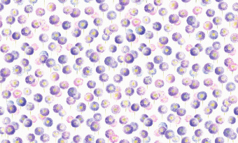 Обои Grandeco Gloria