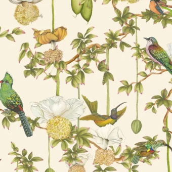 Обои Cole & Son Ardmore – Baobab