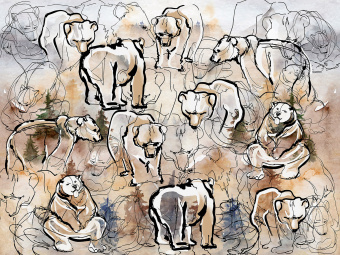 Фотообои Wall Street SIBERIA