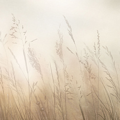 Фрески/Панно ORTOGRAF Vento