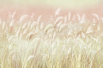 Фрески/Панно ORTOGRAF Vento