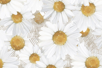 Фотообои Onprint BLOOMING SOUL