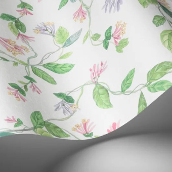 Обои Cole & Son Selection of Hummingbirds