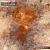 Фрески/Панно RFresco NEW Art Modern