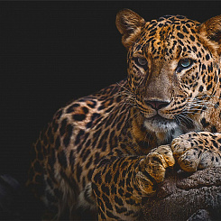 Фотообои Мне обои