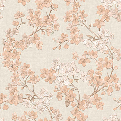 Обои Alessandro Allori Giorgio