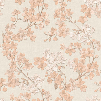 Обои Alessandro Allori Giorgio