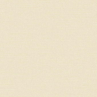 Обои Alessandro Allori Bruni