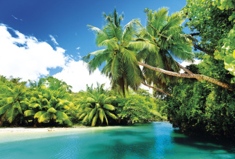 Фрески/Панно ORTOGRAF