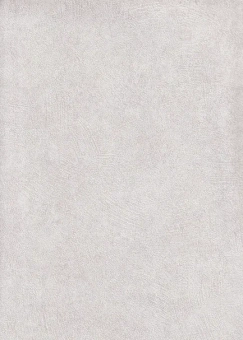 Обои SOM Premier