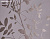 Обои Prestigious Textiles Aspect