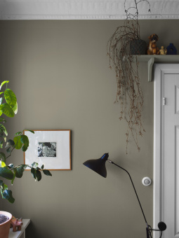 Обои Borastapeter Pigment 2023