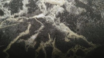 Обои Zambaiti Parati Philipp Plein 2