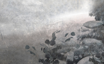  Обои Skinwall Suite Collection