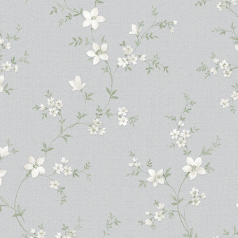 Обои Alessandro Allori Bruni