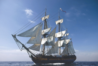 Фрески/Панно ORTOGRAF