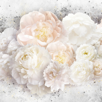 Фотообои Мне обои