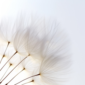 Фрески/Панно RFresco AI