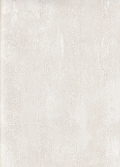 Обои SOM Project