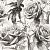 Обои Clarke & Clarke Floribunda