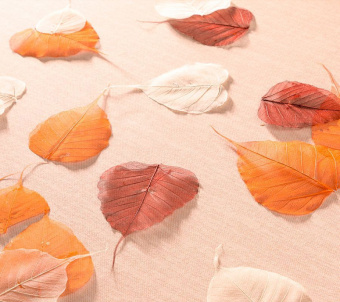 Обои Loymina Королева