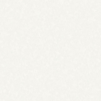 Обои Rasch ADAGIO