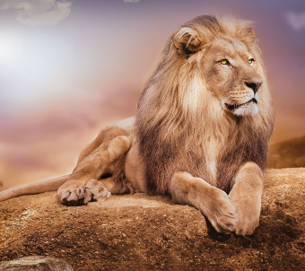 Фрески/Панно Loymina Illusion 2