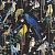 Обои Christian Lacroix Histoires Naturelles