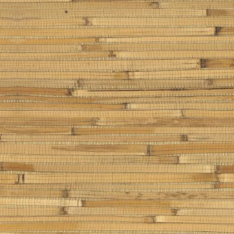 Обои Yate Into the Wild