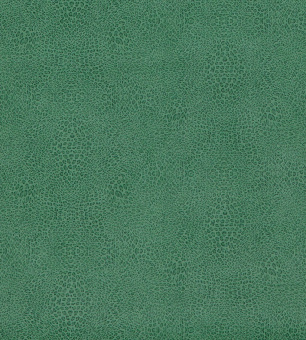 Обои Osborn&Little Paramo Vinyls