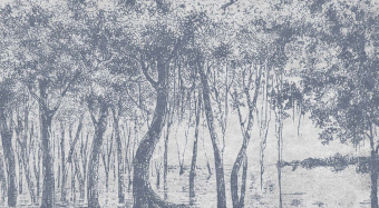 Фотообои Wall Street ESTAMPE