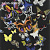 Обои Christian Lacroix Carnets Andalous