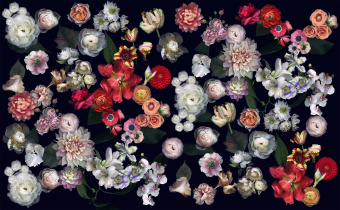 Фотообои Respace Цветы  Жорж Санд