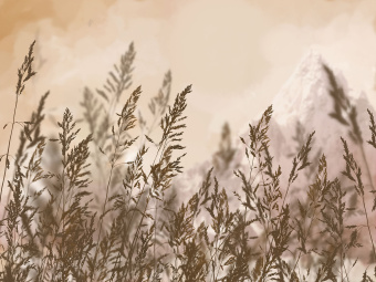 Фрески/Панно ORTOGRAF Vento