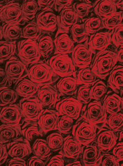 Фрески/Панно ORTOGRAF