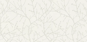 Обои Alessandro Allori Argiano