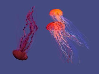 Фотообои Wall Street Oceanarium