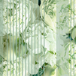 Фотообои Wall Street GREENDAY 22