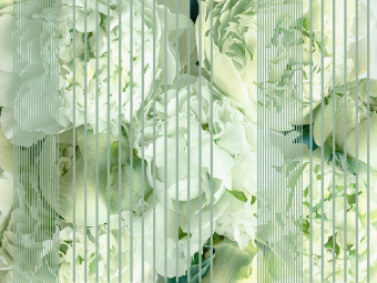 Фотообои Wall Street GREENDAY 22