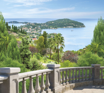 Фрески/Панно ORTOGRAF