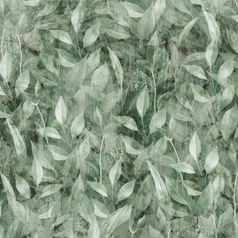 Фотообои Мне обои